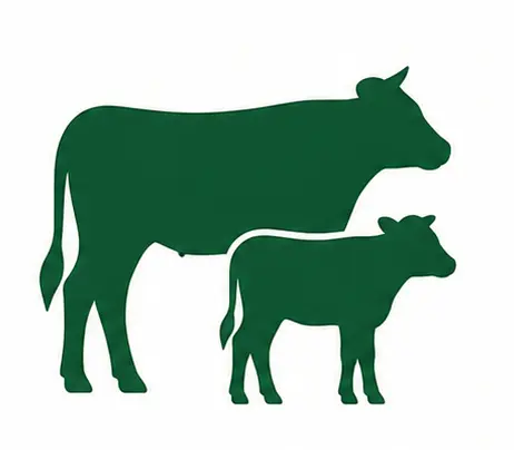 Breeding angus Icon img